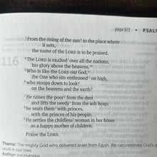 Load image into Gallery viewer, Clearance sale 2024! Life Application Study Bible: New International Version, Caramel / Dark Caramel, Italian Duo-Tone Imitation Leather