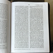 Load image into Gallery viewer, Hindi Holy Bible O.V. Re-edited edition, YAP, large Print.