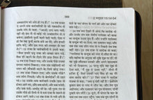 Load image into Gallery viewer, Hindi Holy Bible O.V. Re-edited edition, YAP, large Print.