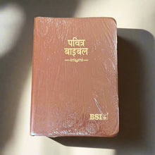 Load image into Gallery viewer, Hindi Holy Bible Compact Edition Yapp (Amity) Indexed (OV)
