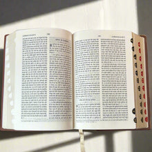 Load image into Gallery viewer, Hindi Holy Bible Compact Edition Yapp (Amity) Indexed (OV)