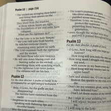 Load image into Gallery viewer, Clearance sale! NLT Every Man's Bible (Every Man's Bible: NLT) – Import