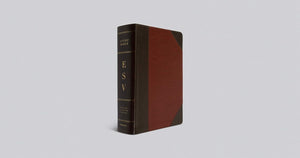 ESV Study Bible,(TruTone, Brown/Cordovan, Portfolio Design): English Standard Version, Brown/Cordovan, Trutone, Portfolio Design Imitation Leather