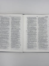 Load image into Gallery viewer, Telugu Holy Bible – Senior Citizen Edition with PL Gilt Yapp Binding