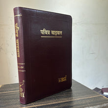 Load image into Gallery viewer, Hindi Holy Bible O.V. Re-edited edition, YAP, large Print.