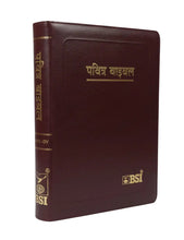 Load image into Gallery viewer, Hindi Holy Bible O.V. Re-edited edition, YAP, large Print.