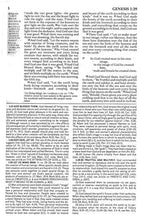 Load image into Gallery viewer, Fire Bible: English Standard Version, Brass Brown / Chestnut: Igniting a Generation in the Life of the Spirit Imitation Leather – Student Edition,