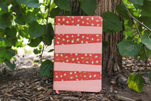 Load image into Gallery viewer, Niv, Adventure Bible, Leathersoft, Coral, Full Color, Thumb Indexed Tabs Imitation Leather