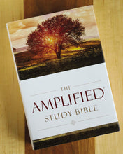 Load image into Gallery viewer, The Amplified Study Bible, Leathersoft/ Hardcover, Brown Imitation Leather