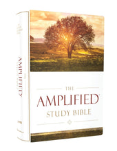 Load image into Gallery viewer, The Amplified Study Bible, Leathersoft/ Hardcover, Brown Imitation Leather