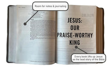 Load image into Gallery viewer, Holy Bible: New International Version, Multi-Color / Teal, Leathersoft, Study, Comfort Print Imitation Leather – Import