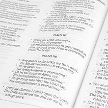 Load image into Gallery viewer, Clearance sale 2026, NASB, Holy Bible, XL Edition, Leathersoft, Teal, 1995 Text, Comfort Print: New American Standard Bible, Teal, Xl Edition, Leathersoft, 1995 Text, Comfort Print by Zondervan (Author) Format: Imitation Leather