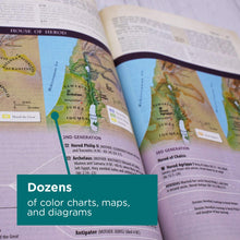 Load image into Gallery viewer, NIV, Cultural Backgrounds Study Bible, Imitation Leather, Tan, Red Letter Edition: Bringing to Life the Ancient World of Scripture Imitation Leather