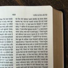 Load image into Gallery viewer, Hindi Holy Bible Crown Vinyl NAP-03 edition, Leather Look.