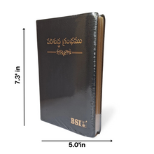 Load image into Gallery viewer, Telugu Holy Bible Crown Vinyl Compact edition,