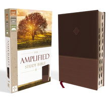 Load image into Gallery viewer, The Amplified Study Bible, Leathersoft/ Hardcover, Brown Imitation Leather