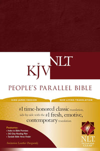Clearance sale 2024! KJV/NLT Bible People's Parallel Edition – Import,