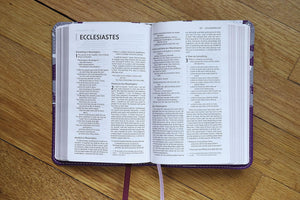 Holy Bible: New International Version, Thinline, Dark Orchid / Grape, Leathersoft, Red Letter Edition Imitation Leather – Import,