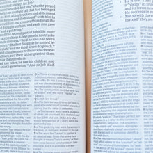 Load image into Gallery viewer, NET Bible, Full-notes Edition, Cloth over Board, Gray, Comfort Print: Holy Bible Hardcover – Import,