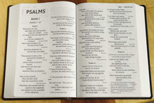 Load image into Gallery viewer, NIV, Super Giant Print Reference Bible, Leathersoft, Brown, Imitation Leather – Import