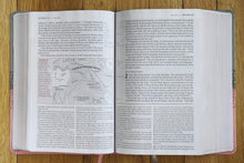 Load image into Gallery viewer, NIV, Life Application Study Bible, Third Edition, Large Print, Leathersoft, Gray/Pink, Red Letter Imitation Leather – Large Print,