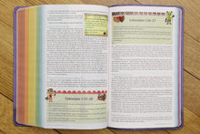 Load image into Gallery viewer, NIrV Seek and Explore Holy Bible โ Hardcover | Adventure-Themed Bible for Kids Ages 6โ10 | Zondervan