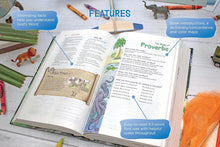 Load image into Gallery viewer, NKJV, Adventure Bible, Hardcover, Full Color, Magnetic Closure: Discover How to Move On, Make Peace with Painful Memories, and Create a Life That's Beautiful Again Hardcover