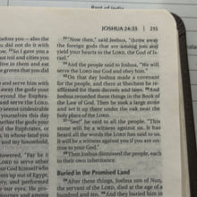 Load image into Gallery viewer, Clearance sale 2024! NIV holy bible Compact edition, New Living Translation. import.
