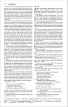 Load image into Gallery viewer, Holy Bible: New International Version, Blue Pier Paperback