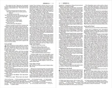 Load image into Gallery viewer, Holy Bible: New International Version, God's Word Paperback – Import