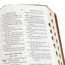 Load image into Gallery viewer, Hindi Bible Dy PU Light Pink with Thumb Index (TI) & Gilt Edges | Amity Edition | Stylish Devotional Bible