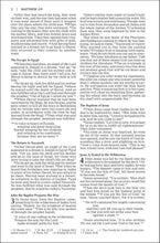 Load image into Gallery viewer, NIV, Holy Bible New Testament, Paperback Paperback