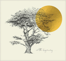 Load image into Gallery viewer, The Art of Life Holy Bible: A Visual Celebration (Hardcover): New Living Translation, Teal, The Art Of Life: A Visual Celebration Hardcover