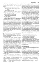 Load image into Gallery viewer, Holy Bible: New International Version, Blue Pier Paperback