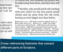 Load image into Gallery viewer, Christian Basics Bible, Indexed Hardcover, New Living Translation (NLT)