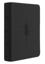 Load image into Gallery viewer, ESV Kid's Bible, Compact: English Standard Version, Trutone, Sword of the Spirit Leather Bound – Import