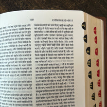 Load image into Gallery viewer, Hindi Holy Bible Compact Edition Yapp (Amity) Indexed (OV)