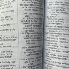 Load image into Gallery viewer, NLT Holy Bible, Giant Print Edition, Tutone Wine/Gold Leather Like, Indexed, New Living Translation