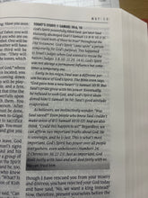 Load image into Gallery viewer, The One Year Study Bible NLT Hardcover–