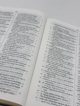 Load image into Gallery viewer, Telugu Holy Bible – Senior Citizen Edition with PL Gilt Yapp Binding