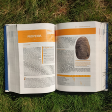 Load image into Gallery viewer, Clearance sale! Holy Bible: New International Version, Study Bible, Red Letter (NIV Study Bible, Fully Revised Edition) (Copy)