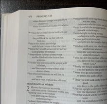 Load image into Gallery viewer, Clearance sale! NIV Dad's Devotional Bible: New International Version Hardcover