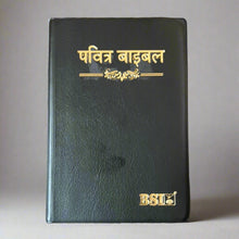 Load image into Gallery viewer, Hindi Holy Bible Crown Vinyl NAP-03 edition, Leather Look.