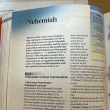 Load image into Gallery viewer, Zondervan Handbook to the Bible: Fifth Edition Paperback – Import