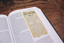 Load image into Gallery viewer, Kingdom Girls Bible: New International Version, Meet the Women in God's Story Hardcover