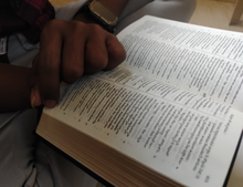 Load image into Gallery viewer, Telugu Holy Bible Crown Vinyl Compact edition,