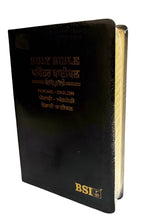 Load image into Gallery viewer, Bilingual Bible Punjabi-English – Royal BL Black Edition (NAP)
