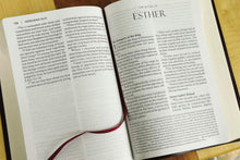 Load image into Gallery viewer, Amplified Holy Bible, Large Print, Bonded Leather, Burgundy Bonded Leather – Large Print