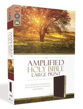 Load image into Gallery viewer, Amplified Holy Bible, Large Print, Bonded Leather, Burgundy Bonded Leather – Large Print
