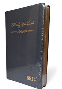 Telugu Holy Bible Crown Vinyl Compact edition, korean print.